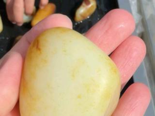 新疆和田玉籽料原石,真皮真色洒金皮,一级白细独籽,饱满圆润,雕玩皆宜